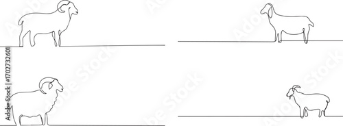 Set of Goat animal  one continuous line art, Vector illustration, One line art, Line art graphic style