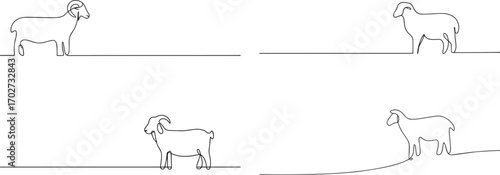 Set of Sheep one continuous line art, Vector illustration, One line art, Line art graphic style