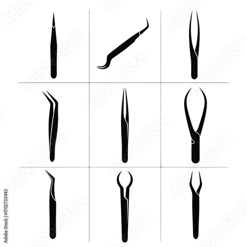 Collection of Tweezers Precision Tools for Various Tasks
