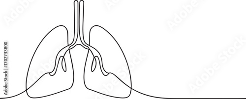 Human lungs organ one continuous line art, Vector illustration, One line art, Line art graphic style