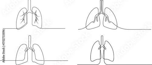 Set of Human lungs organ one continuous line art, Vector illustration, One line art, Line art graphic style