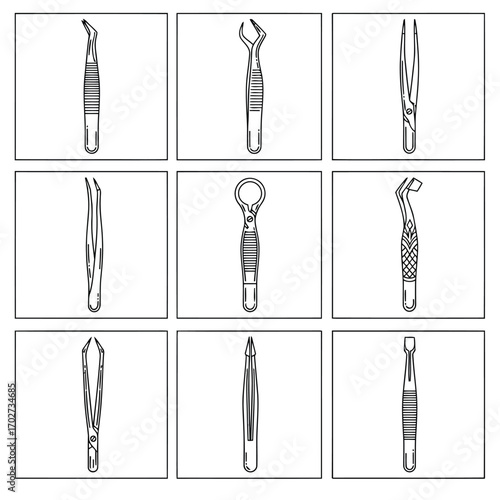 Collection of Assorted Dental Forceps and Tweezers for Surgical Procedures