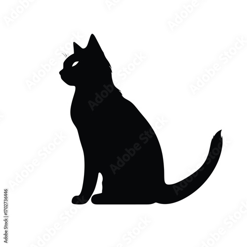Sleek black cat silhouette sitting gracefully alert and elegant companion animal pet silhouette