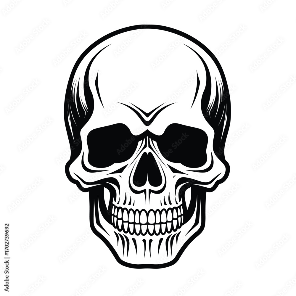 Fototapeta premium Detailed monochrome skull frontal view black and white artistic representation human head silhouette