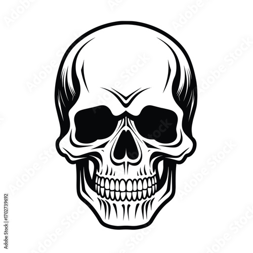 Detailed monochrome skull frontal view black and white artistic representation human head silhouette