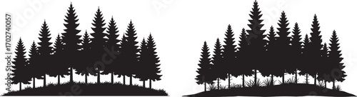 Dense pine tree silhouette, evergreen forest vector, black fir woodland shape, winter nature background, outdoor conifer tree clipart, landscape illustration