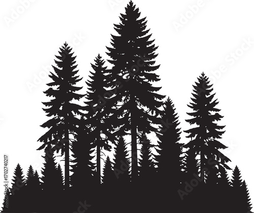 Dense pine tree silhouette, evergreen forest vector, black fir woodland shape, winter nature background, outdoor conifer tree clipart, landscape illustration