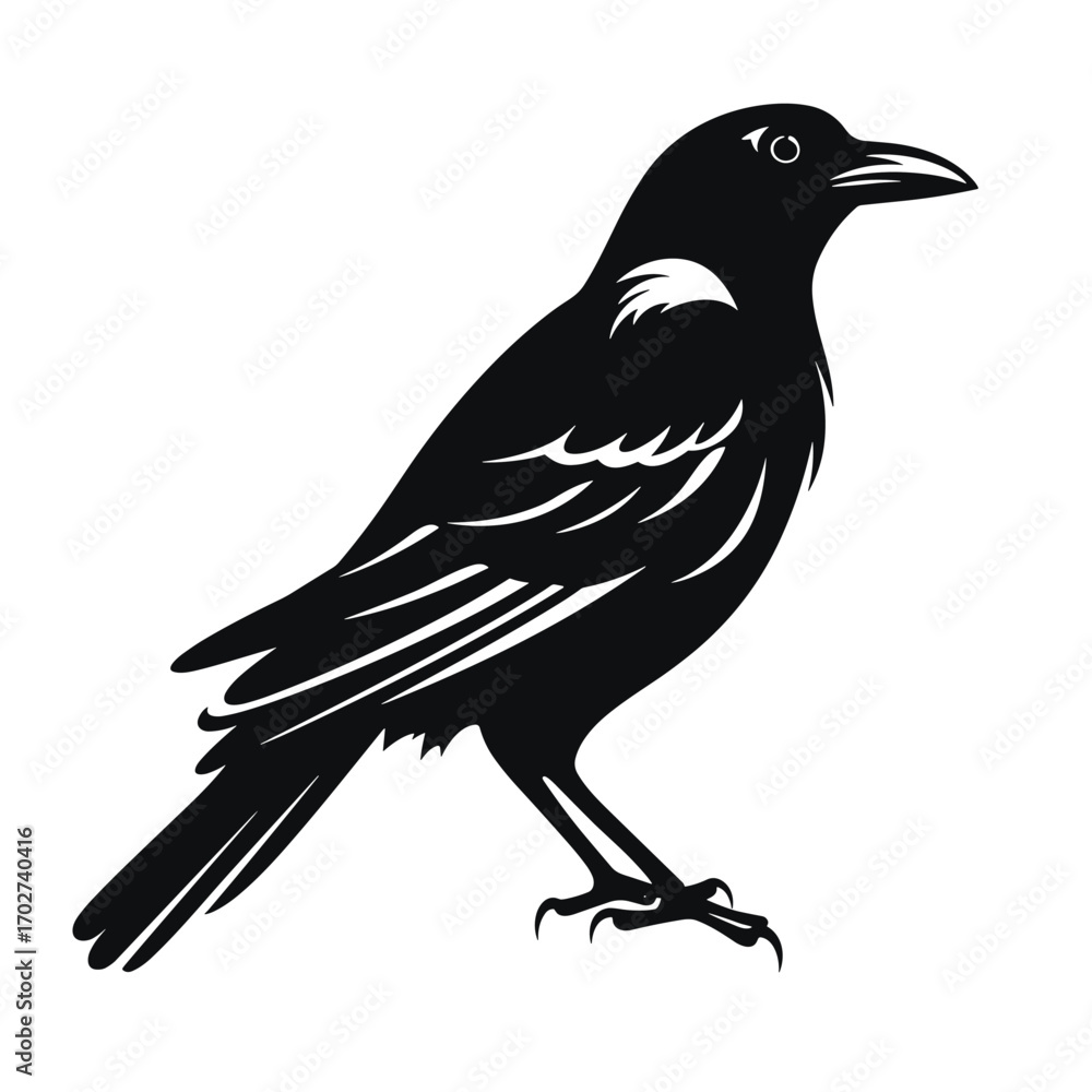 Obraz premium Silhouette of a detailed crow standing profile view against silhouette