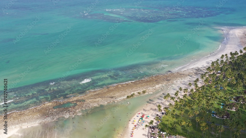 Fototapeta premium Wonderful aerial view of Praia dos Carneiros beach with stunning landscape with sand banks, palm trees, boats and turquoise waters near Recife, Pernambuco State, Brazil 