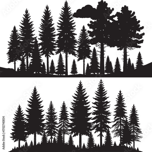 A dense silhouette of evergreen trees creates a natural forest landscape seamlessly