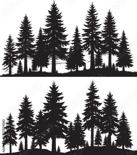 A dense silhouette of evergreen trees creates a natural forest landscape seamlessly