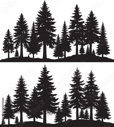 A dense silhouette of evergreen trees creates a natural forest landscape seamlessly
