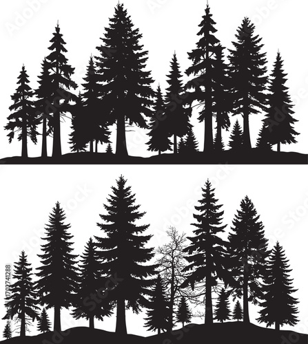 A dense silhouette of evergreen trees creates a natural forest landscape seamlessly