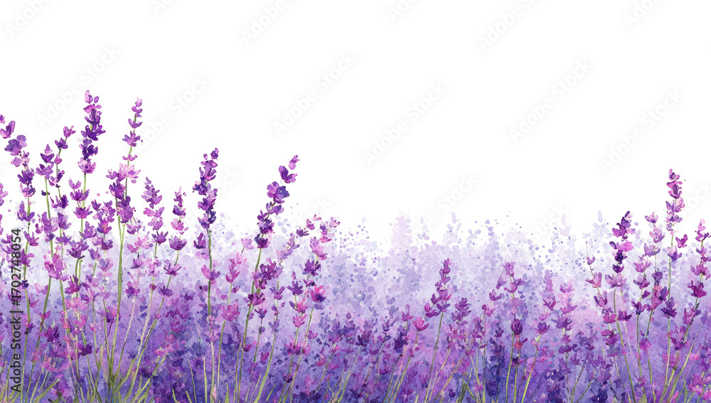 Naklejka premium Lavender field, vibrant purple flowers, soft hues, artistic rendering