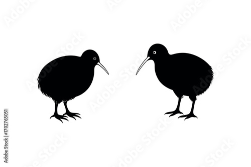 two birds standing opposite each other silhouette