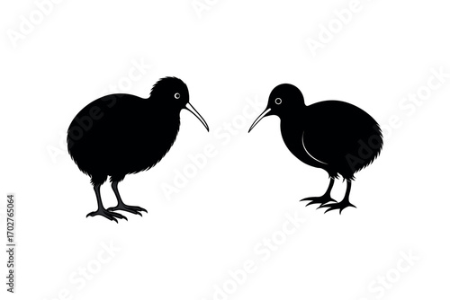 two birds facing each other in black silhouette