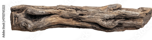 Rough, weathered log section