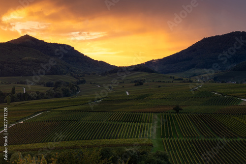 Sonnenuntergang an der Kleinen Kalmit mit Regenfront über dem Pfälzerwald