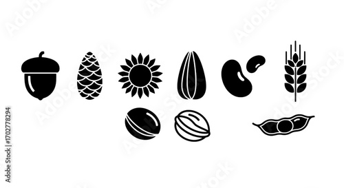 Collection of seeds and beans, vector icons of nuts and legumes