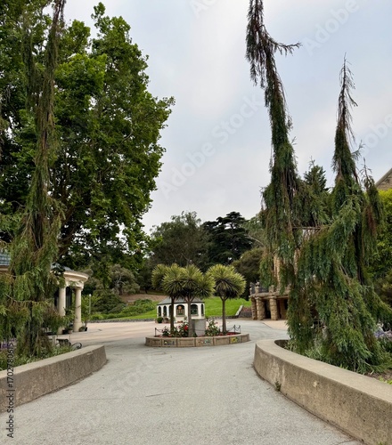 park in the Golden Gate park