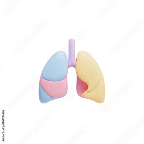Stylized 3d human lungs anatomy isolated on transparent background