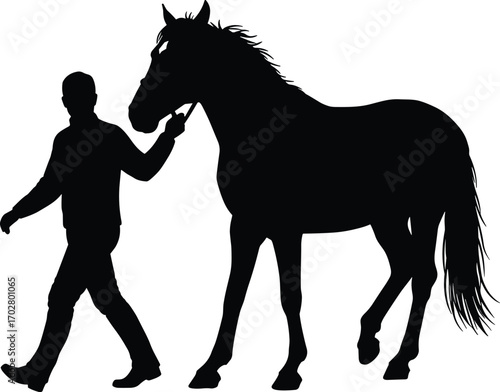 man walking horse, horse handler silhouette, equestrian, horse and person, animal care, outdoor walk, pet care, horse owner, walking with horse, equine silhouette