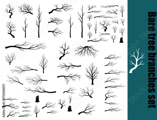 Vector Silhouettes of Bare Trees and Branches Set. Hand-Designed Leafless Tree Icons for Adobe Stock Approval.