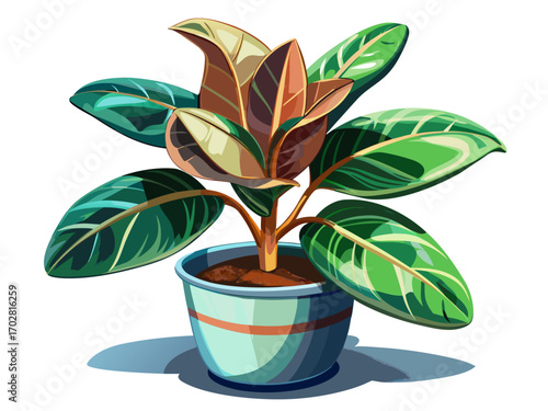 A high-quality vector illustration of a rubber plant in a ceramic pot, isolated on a white background