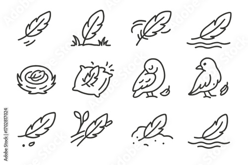 Feather Icon Collection. Line style icons of natural feather scenes: feather falling, feather on ground, feather in wind, feather