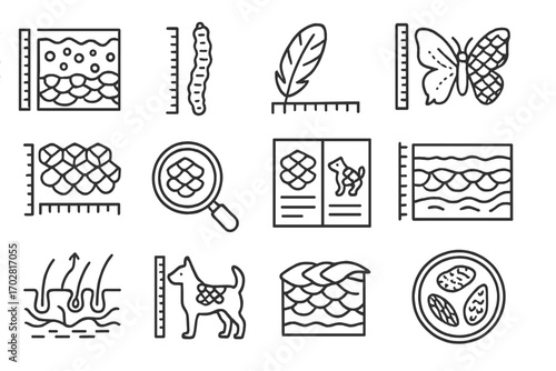 Scientific Scale Icons. Line style icons of medical or scientific scale references: skin disorder scale, parasitic scale form,