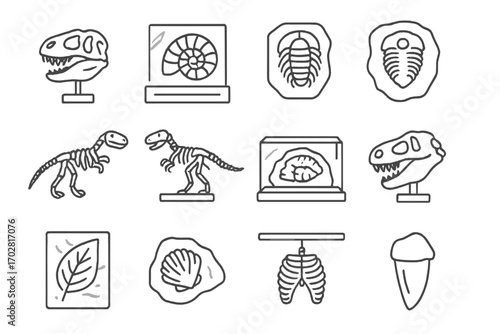 Museum Fossil Icons. Line style icons of museum fossils: displayed skull, fossil under glass, labeled ammonite, fossil wall mount;