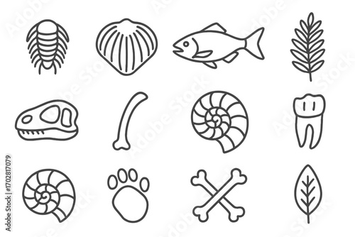Fossil Era Icons. Line style icons of fossil types by era: Cambrian trilobite, Ordovician brachiopod, Devonian fish, Carboniferous