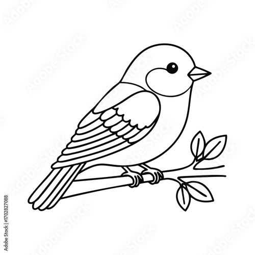 Black and white line drawing of a small bird perched on a leafy tree branch with detailed feathers and simple outlines
