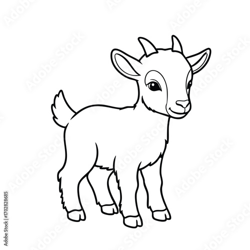 Cute young goat standing and looking forward with small horns and fluffy tail in black and white line art