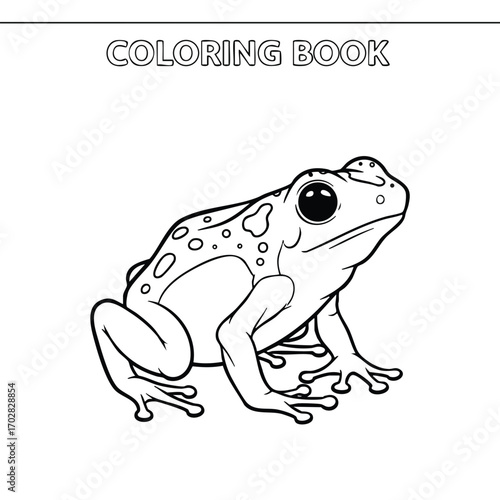 Black and white line drawing of a frog for a coloring book featuring detailed amphibian illustration