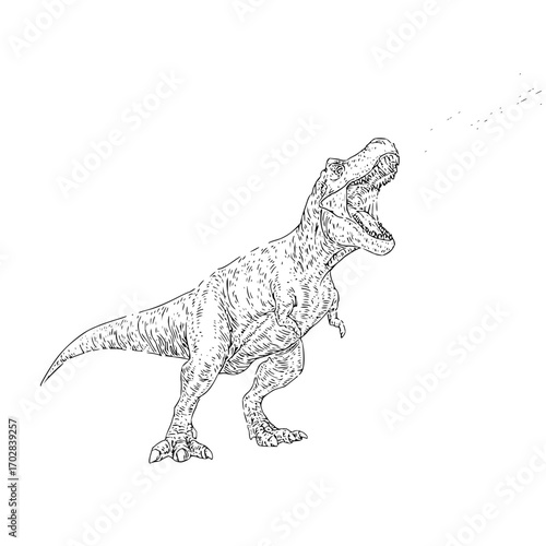 T rex dinosaur drawing sketch illustration vector artwork prehistoric animal jurassic period fossil predator roar 100mya