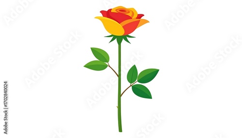 Colorful rose illustration