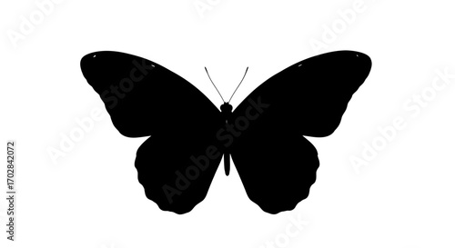 Dramatic silhouette of a butterfly against a stark white background creating simple elegance