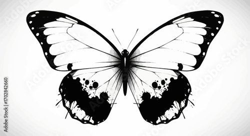 Monochromatic butterfly art evoking fragility and intricate designs with inky accents