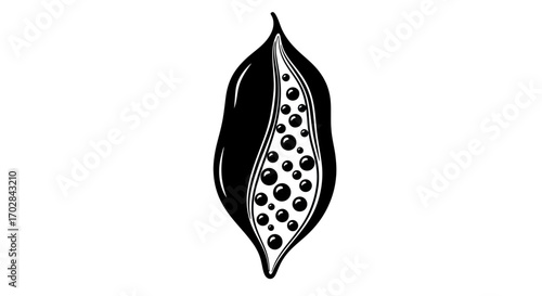 Stylized black and white illustration of a seed pod filled with shiny round seeds and simplistic