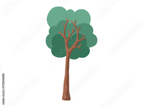 Tropical Rainforest Tree Clip Art
