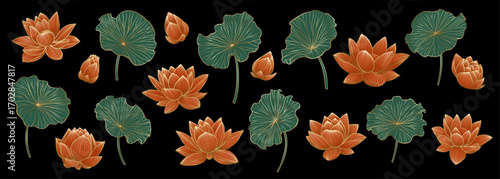 Waterlily flowers and leaves line art collection, isolated lotus flower clip arts. Set of beautiful monochrome, black and white lotus flower isolated. for greeting card, postcard and invitations