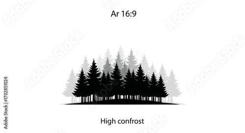 Monochromatic evergreen forest scene featuring dense clusters of towering pine trees