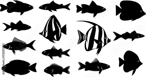 Fish silhouettes Collection, Fish silhouettes Vector art
