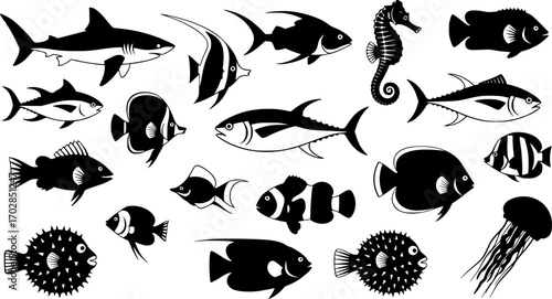 Fish silhouettes Collection, Fish silhouettes Vector art