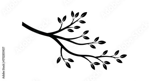 Stylized leafy tree branch illustration in black and white for elegant design element