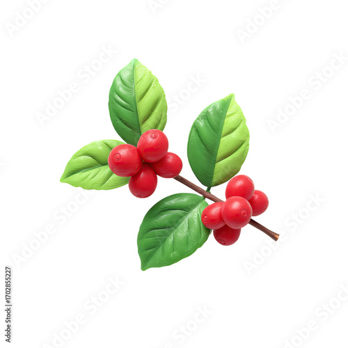 Coffee Plant Branch with Red Berries.