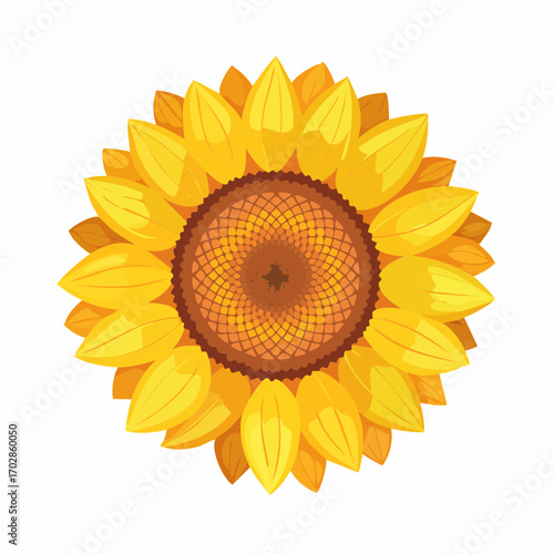 Sonnenblume