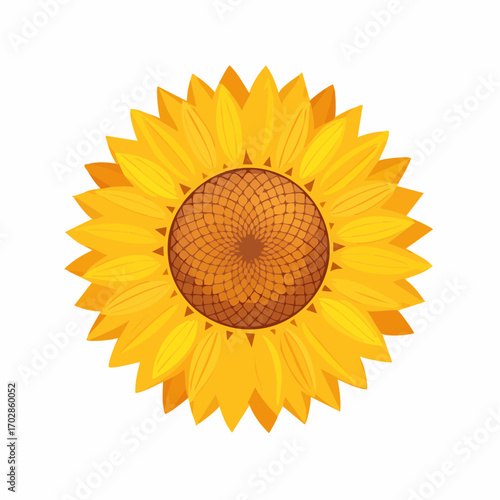 Sonnenblume