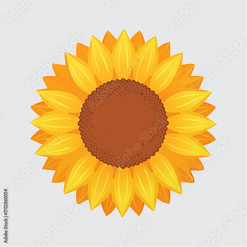 Sonnenblume